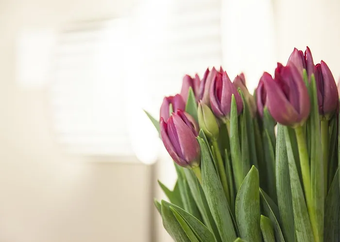 Casa Fabbrini Fancy 4* Rom